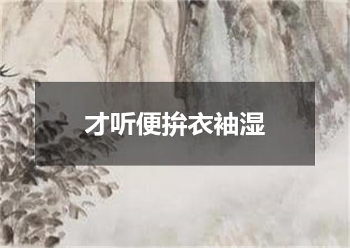 才听便拚衣袖湿
