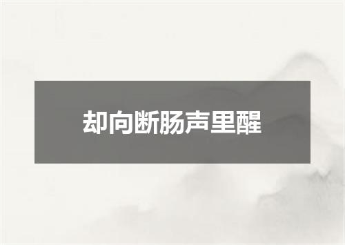 却向断肠声里醒