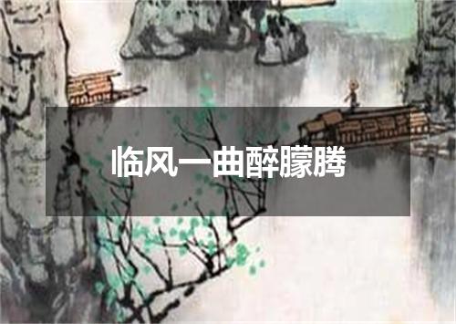 临风一曲醉朦腾