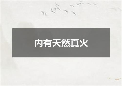 内有天然真火