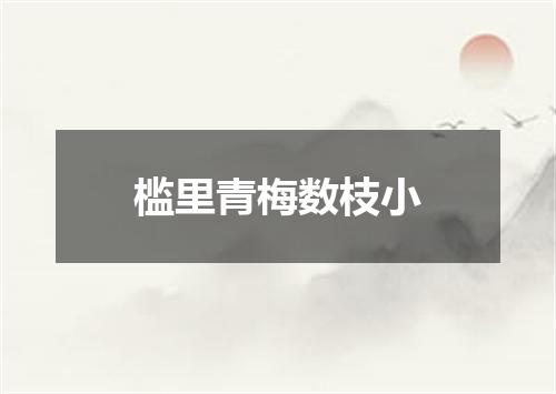 槛里青梅数枝小