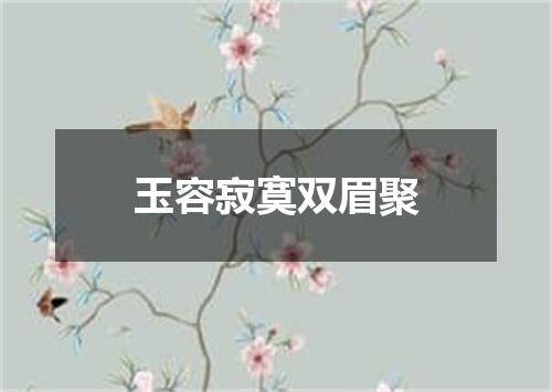 玉容寂寞双眉聚