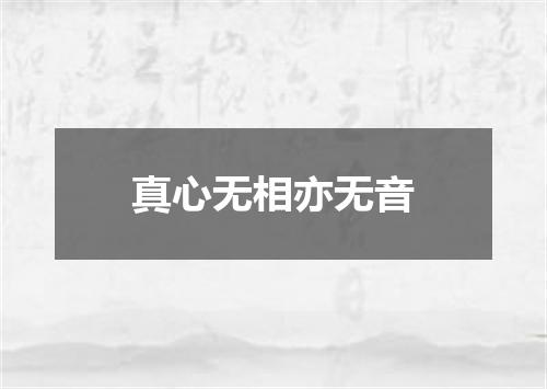 真心无相亦无音