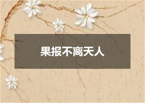 果报不离天人