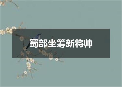蜀部坐筹新将帅
