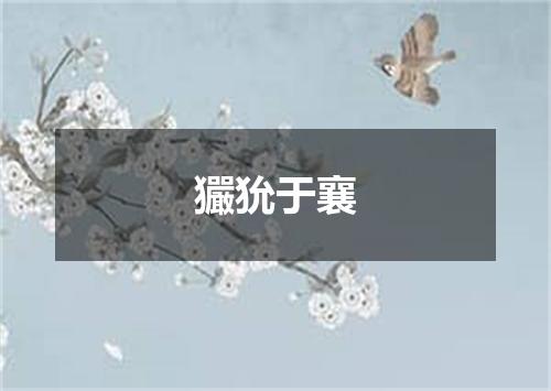 玁狁于襄