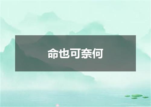 命也可奈何