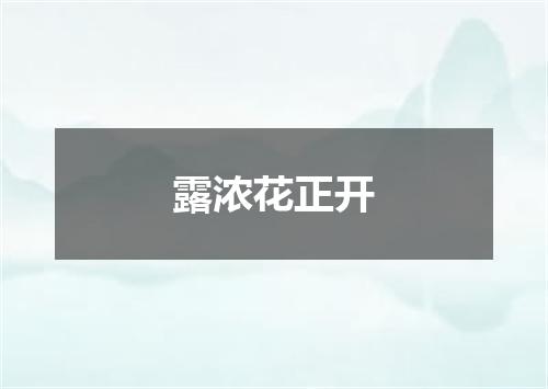 露浓花正开