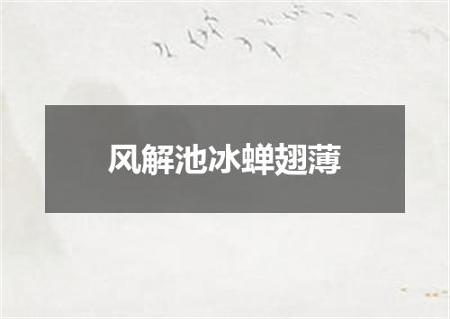 风解池冰蝉翅薄