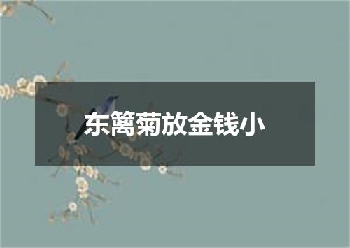 东篱菊放金钱小