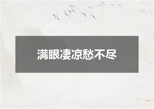 满眼凄凉愁不尽