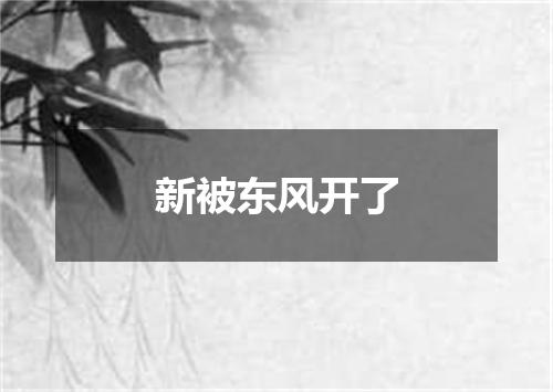 新被东风开了