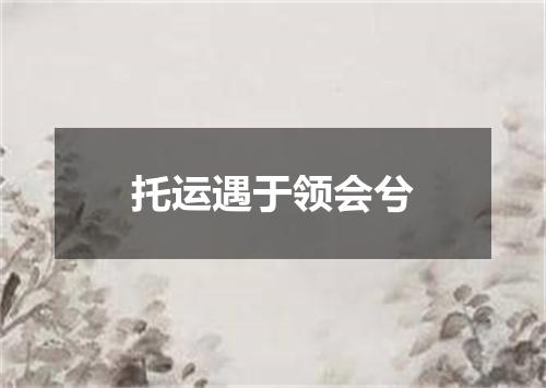 托运遇于领会兮