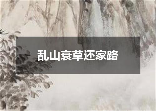 乱山衰草还家路