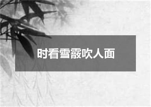 时看雪霰吹人面