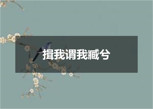 揖我谓我臧兮