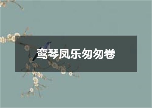 鸾琴凤乐匆匆卷