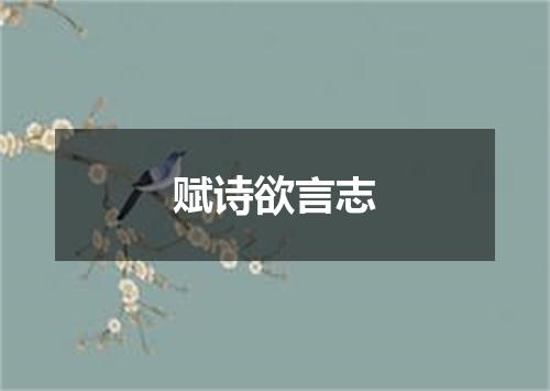赋诗欲言志