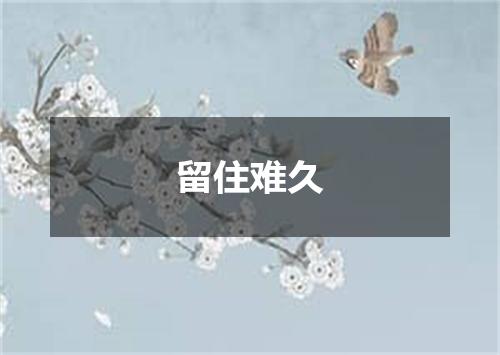 留住难久