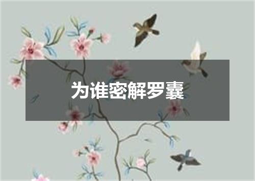 为谁密解罗囊