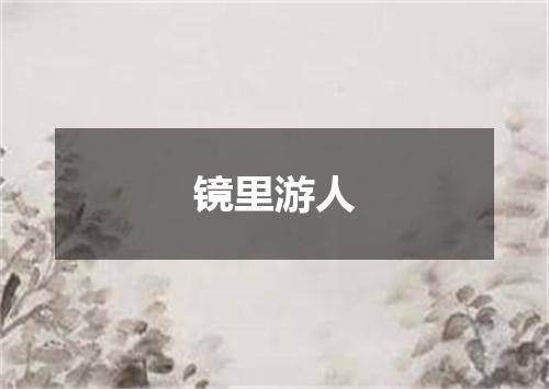 镜里游人