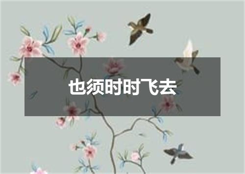 也须时时飞去