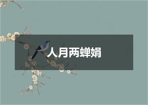 人月两蝉娟