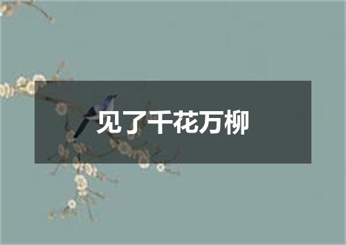 见了千花万柳