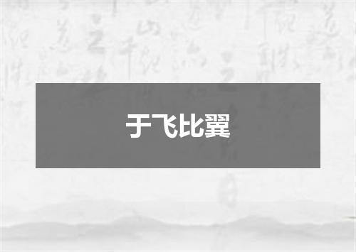 于飞比翼