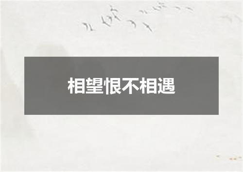 相望恨不相遇