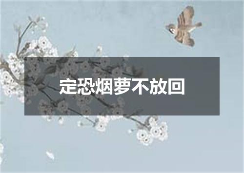 定恐烟萝不放回