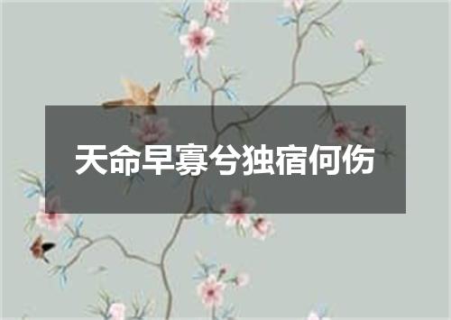 天命早寡兮独宿何伤