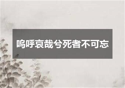 呜呼哀哉兮死者不可忘