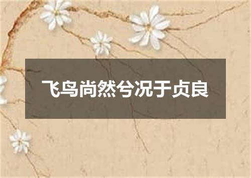 飞鸟尚然兮况于贞良