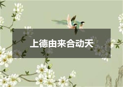 上德由来合动天