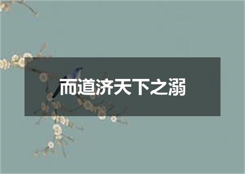 而道济天下之溺