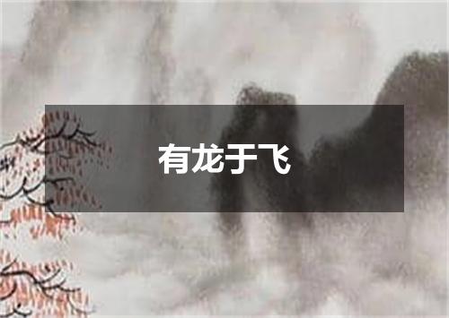 有龙于飞