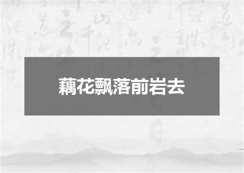 藕花飘落前岩去