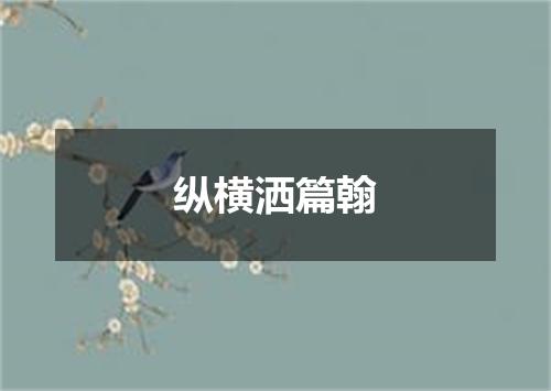 纵横洒篇翰