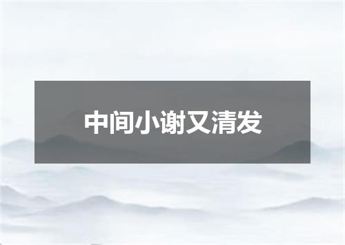 中间小谢又清发