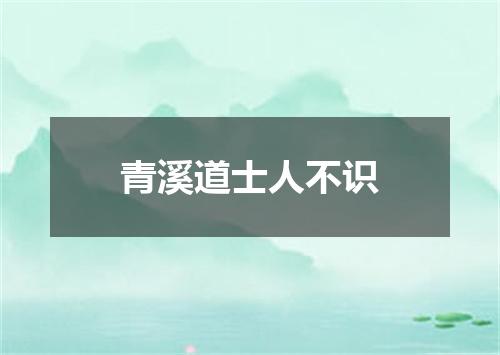 青溪道士人不识
