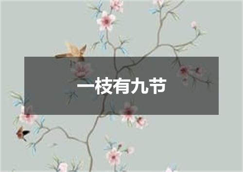 一枝有九节