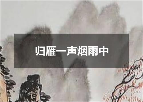 归雁一声烟雨中