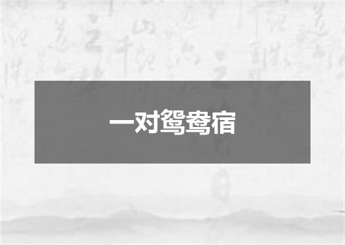 一对鸳鸯宿