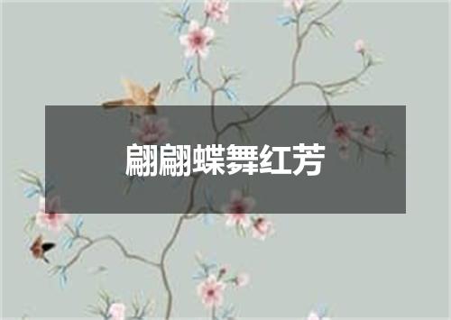 翩翩蝶舞红芳