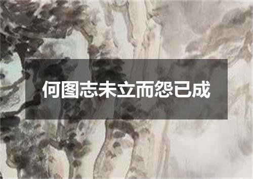 何图志未立而怨已成