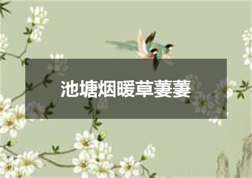 池塘烟暖草萋萋