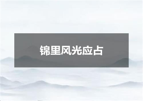 锦里风光应占