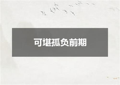 可堪孤负前期