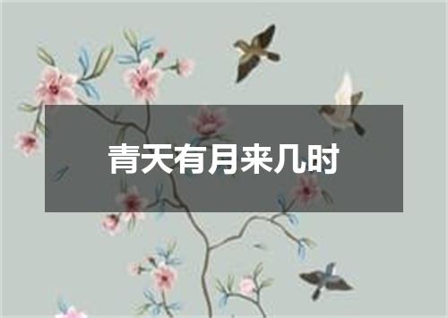 青天有月来几时
